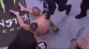 Mixed Martial Arts Sport GIF by UFC