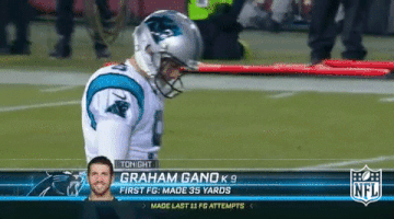 carolina panthers football GIF by NFL