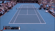 Ekaterina Alexandrova Tennis GIF