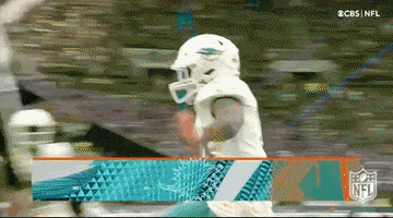 Miami Dolphins Football GIF by NFL