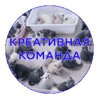 kollegi_digital setters креатив setters education kollegi digital Sticker