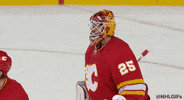 Ice Hockey Sport GIF by NHL