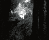 film talking GIF by Dax Norman