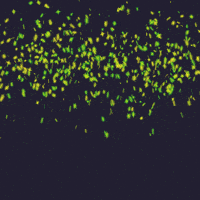 Trick Or Treat Halloween GIF by Grind