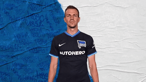 Bundesliga Berlin GIF by Hertha BSC