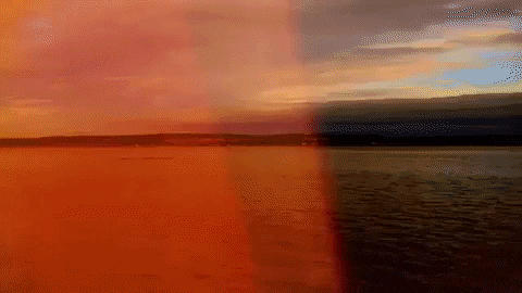 Water Rely GIF