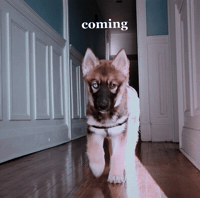 Coming GIF
