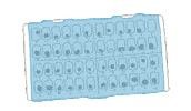 Dentistdoodles Sticker