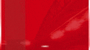 Afas Stadion Goal GIF by AZ Alkmaar