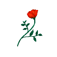 Flower Rose Sticker by hahaha-design