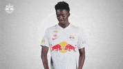 Football Sport GIF by FC Red Bull Salzburg