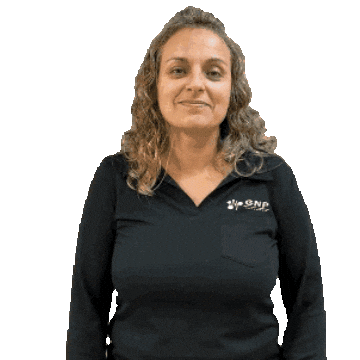 gnpresearch gnp research Sticker