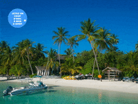 Mit Bewegung Dem Winterblues Trotzen GIF by FranchiseONE.de