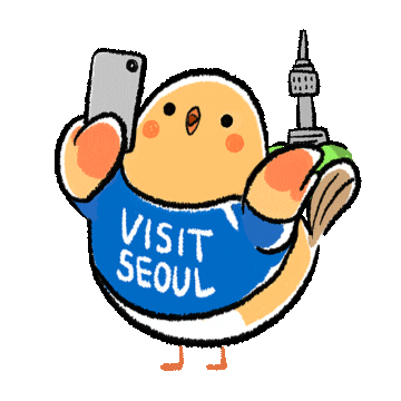 Photography Picture Sticker by Visit Seoul