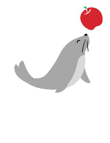 Dieta Sticker
