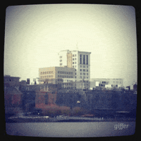 GIF by The Savannah .GIF Festival