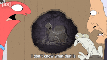 What Is This Idk GIF by Adult Swim
