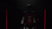 Hype Houston GIF by XFL