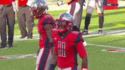 Flex Houston GIF by XFL