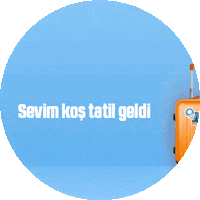 Summer Holiday Beach Sticker by tatilsepeti