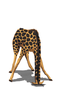 Monday Zoo Sticker by JENDES