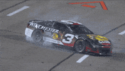 Austin Dillon GIF by NASCAR