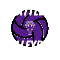 Rattlers Sanmarcos Sticker by SMCISD Ratttlers