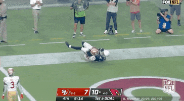 Arizona Cardinals Football GIF by NFL