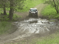 energylandia fun car team speed GIF