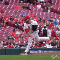 Sport Baseball GIF by Cincinnati Reds
