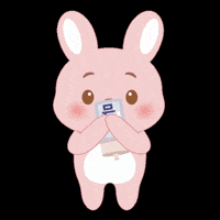 Wonpil Pil GIF