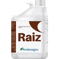 Raiz Sticker by Aminoagro
