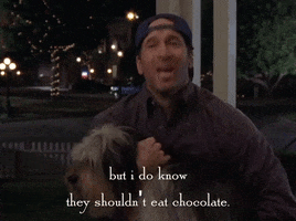 season 6 netflix GIF by Gilmore Girls 