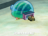 season 5 the inmates of summer GIF by SpongeBob SquarePants