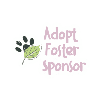 LeafAnimals giphygifmaker animals adopt foster Sticker