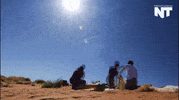 grand canyon news GIF by NowThis 