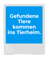 Hund Tierheim Sticker by FINDEFIX - Das Haustierregister des Deutschen Tierschutzbundes