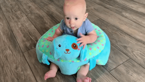 fedegra giphygifmaker GIF