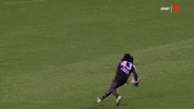 happy football GIF by Essendon FC