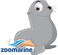 Happy Sea Lion Sticker by Zoomarine Algarve