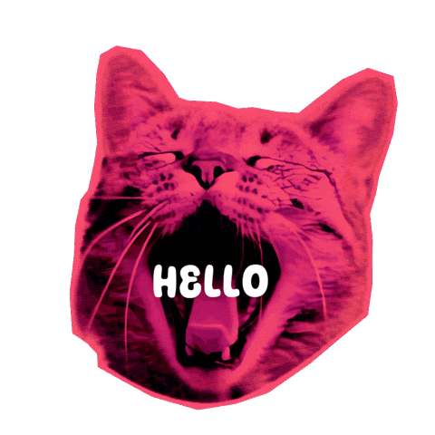 Cat Love Sticker by Seorang Zaki