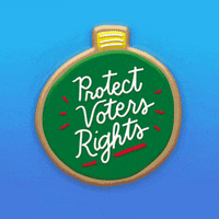 Happy Voting Rights GIF by INTO ACTION