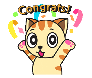 Cat Wow GIF by JPedicini