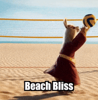 Summer Beach GIF by dalaillamazen