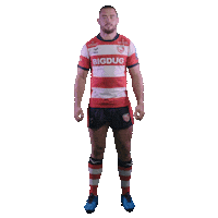 Celebration Lewis Sticker by PremRugby