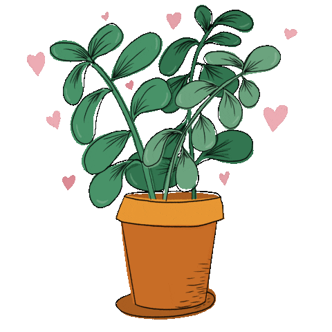 Plant Sticker by Katie Vaz