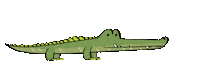 Alligator Hello Sticker