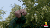 awkward history GIF by Swamp People