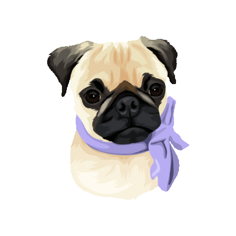 Pug Sticker by Pickle's Pawtraits