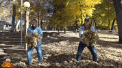 camplebanon fun surprise fall autumn GIF